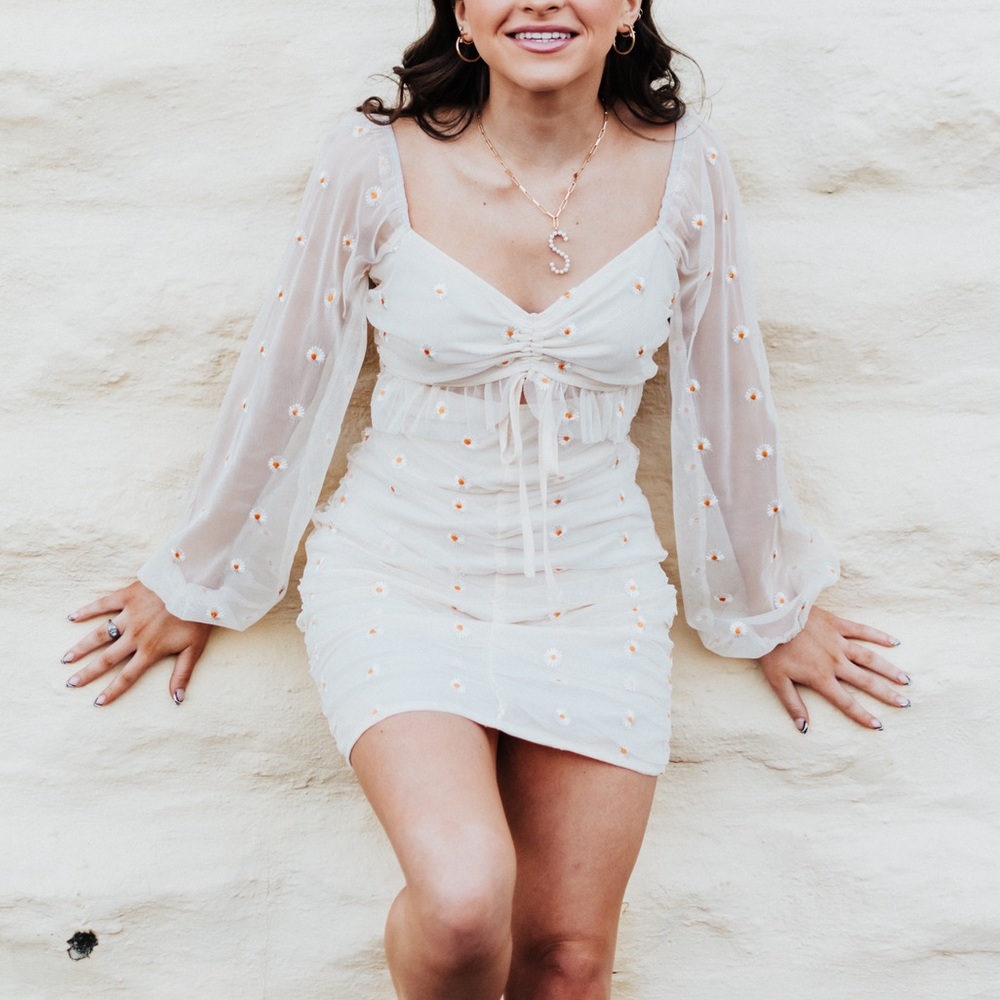 Cream daisy mesh sleeve dress